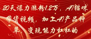 20天爆力涨粉1.2万，AI猫咪带货视频，加上AI产品种草，变现能力杠杠的-五六七网创电商学院