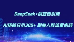 DeepSeek+创业粉引流 AI矩阵日引300+ 副业人群流量密码-五六七网创电商学院