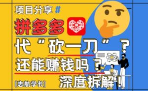 【2025最新】拼多多代坎助力项目深度拆解：还能挣钱吗?全流程玩法-五六七网创电商学院