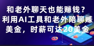 和老外聊天也能挣钱？利用AI工具和老外陪聊挣美金，时薪可达20刀-五六七网创电商学院