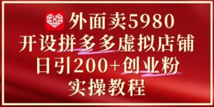 外面卖5980开设拼多多虚拟店铺：单日引流200+创业付费粉实战教程-五六七网创电商学院