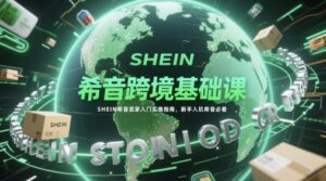 希音跨境基础课，SHEIN希音卖家入门实操指南，新手入坑希音必看-五六七网创电商学院