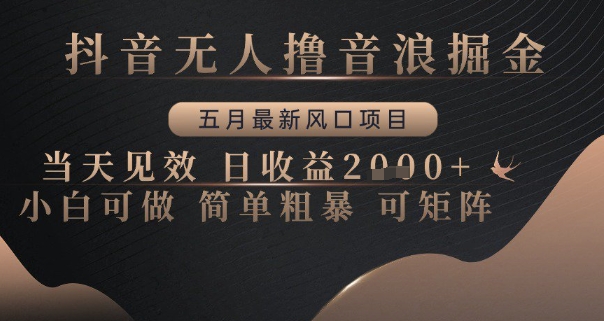 抖音无人撸音浪掘金，五月最新风口项目，当天见效，日收益多张，小白可做简单粗暴可矩阵【揭秘】-五六七网创电商学院