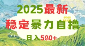 2025最新暴力自撸项目，日入5张+，可矩阵操作【揭秘】-五六七网创电商学院
