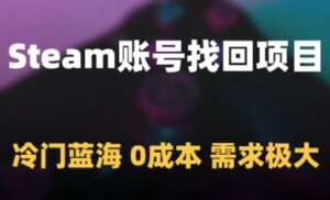 Steam账号找回项目，冷门蓝海，0成本，需求极大-五六七网创电商学院