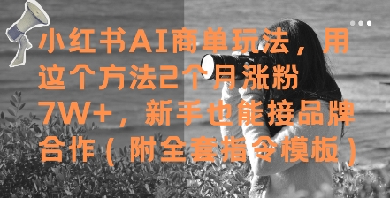 小红书AI商单玩法，用这个方法2个月涨粉7W+，新手也能接品牌合作(附全套指令模板)-五六七网创电商学院