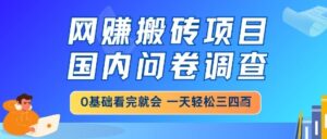 网创搬砖项目，国内问卷调查，小白轻松上手，一天三四张的也不难，干就完了【揭秘】-五六七网创电商学院