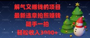 解气又挣钱的项目，最新违章拍照挣钱，随手一拍，轻松收入多张【揭秘】-五六七网创电商学院