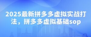2025最新拼多多虚拟实战打法，拼多多虚拟基础sop-五六七网创电商学院
