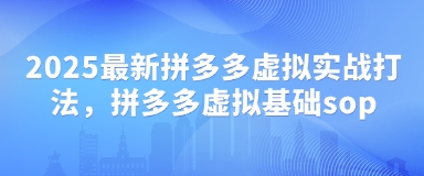 2025最新拼多多虚拟实战打法，拼多多虚拟基础sop-五六七网创电商学院