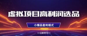 虚拟项目高利润选品方法，做好单店利润1W+，可多店倍增利润-五六七网创电商学院