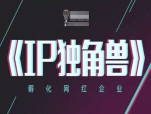IP独角兽，孵化网红企业，ip教程-五六七网创电商学院