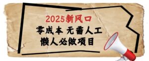 2025新风口，懒人必做项目，浏览器全自动掘金【揭秘】-五六七网创电商学院