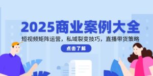 2025商业案例大全，短视频矩阵运营，私域裂变技巧，直播带货策略-五六七网创电商学院