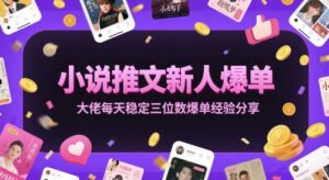 小说推文新人爆单大佬每天稳定三位数爆单经验分享-五六七网创电商学院