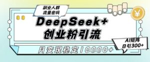 DeepSeek+创业粉精准引流，全新分享课4.0玩法，AI矩阵日引300+，多种变现方式，稳定月入1W-五六七网创电商学院