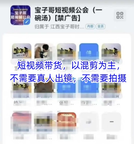 宝子哥头部团队短视频带货，以混剪为主，不需要真人出镜，不需要拍摄【更新】-五六七网创电商学院