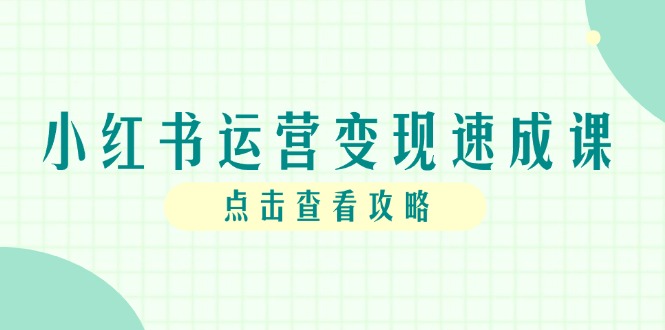 小红书运营变现速成课，账号搭建到暴力起号，个人IP全流程指南-五六七网创电商学院