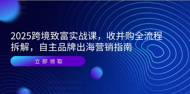 2025跨境致富实战课，收并购全流程拆解，自主品牌出海营销指南-五六七网创电商学院