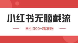 小红书截流同行客源，独家野路子获客玩法 日引200+暴力获客【揭秘】-五六七网创电商学院