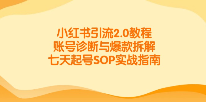 小红书引流2.0教程，账号诊断与爆款拆解，七天起号SOP实战指南-五六七网创电商学院