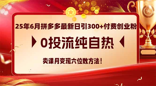 25年6月拼多多最新日引300+付费创业粉，0投流纯自热 卖课月变现六位数方法-五六七网创电商学院