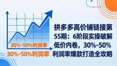 【精】拼多多高价铺链接第55期：6阶段实操破解低价内卷，30%-50%利润率爆款打造全攻略-五六七网创电商学院