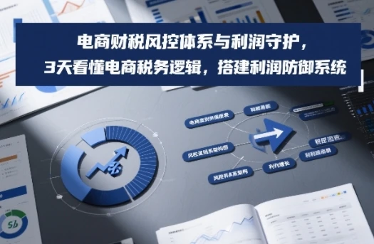 【精】电商财税风控体系与利润守护，3天看懂电商税务逻辑，搭建利润防御系统-五六七网创电商学院