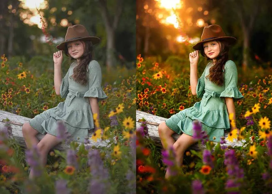 大师级GTG出品-老友记系列AI自适应预设The Friends Preset Collection-五六七网创电商学院